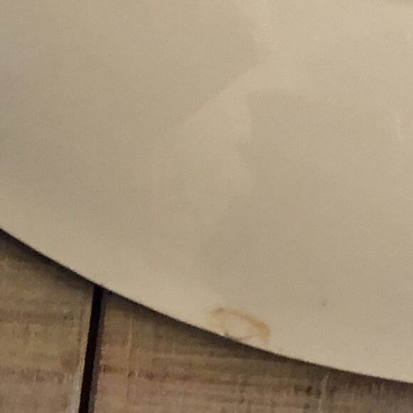 Exotic Bird Plates Porcelain PK Unity Server Trays Handpainted Peafowls Set of 2 - Picture 11 of 12